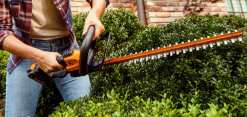 Best Hedge Trimmer For Thick Branches