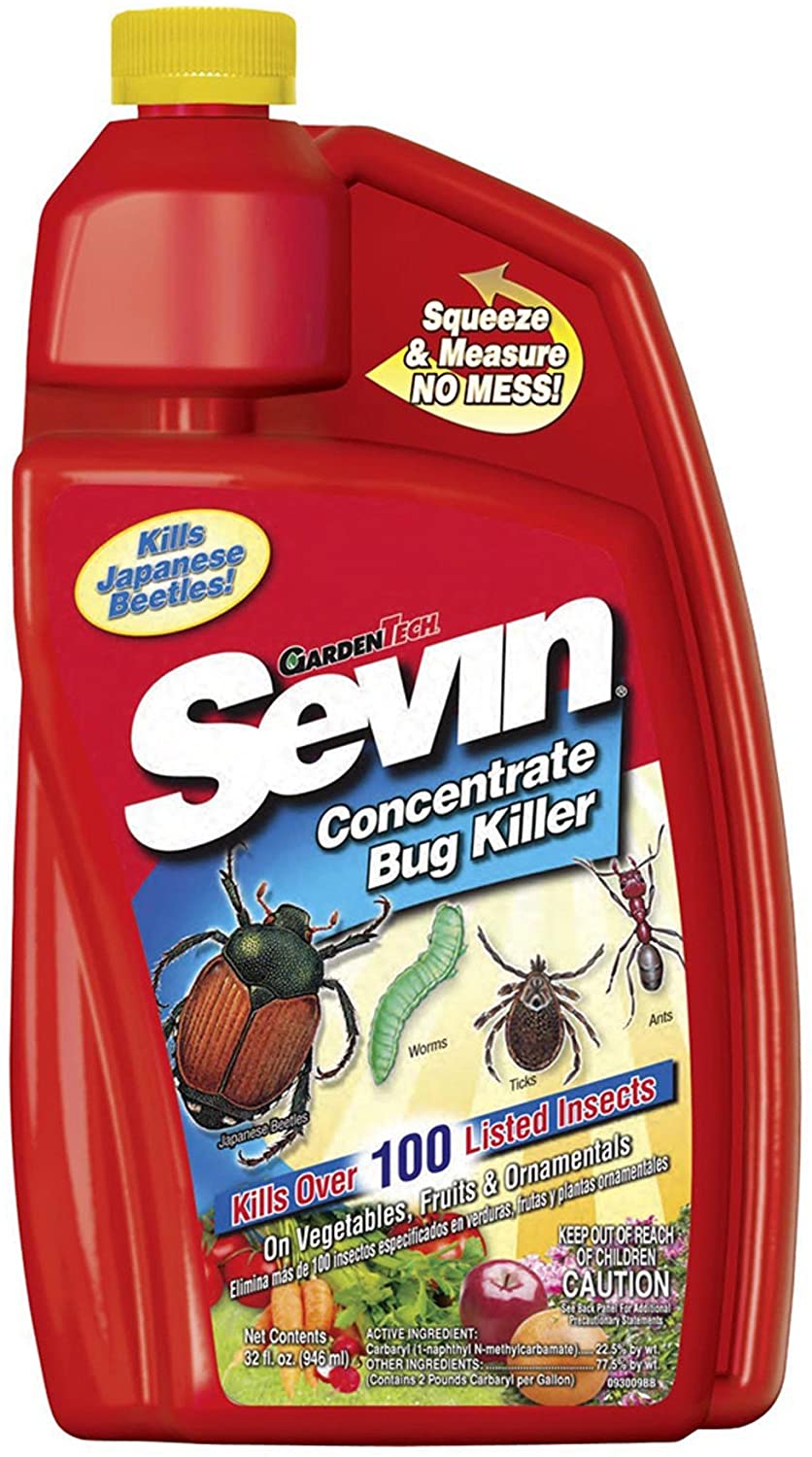 6 Best Insecticides for Roses Guide