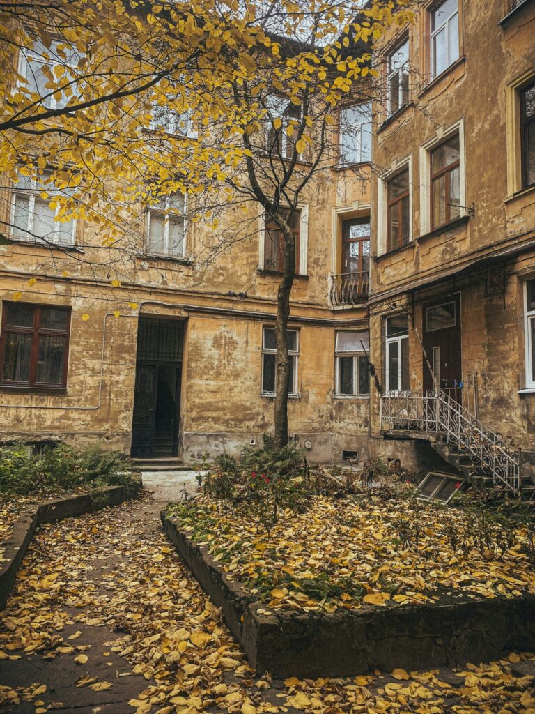 Fallen yellow leaves covering raised garden beds and a path in a courtyard